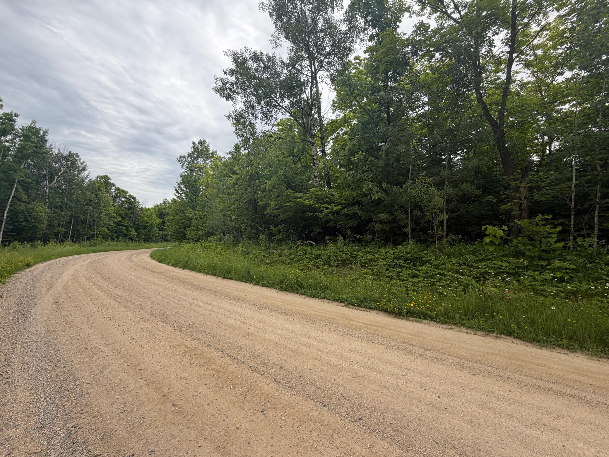Lot 2 South Gull Lake Road Southwest Tenstrike, MN 56683 - Photo 2 of 5
