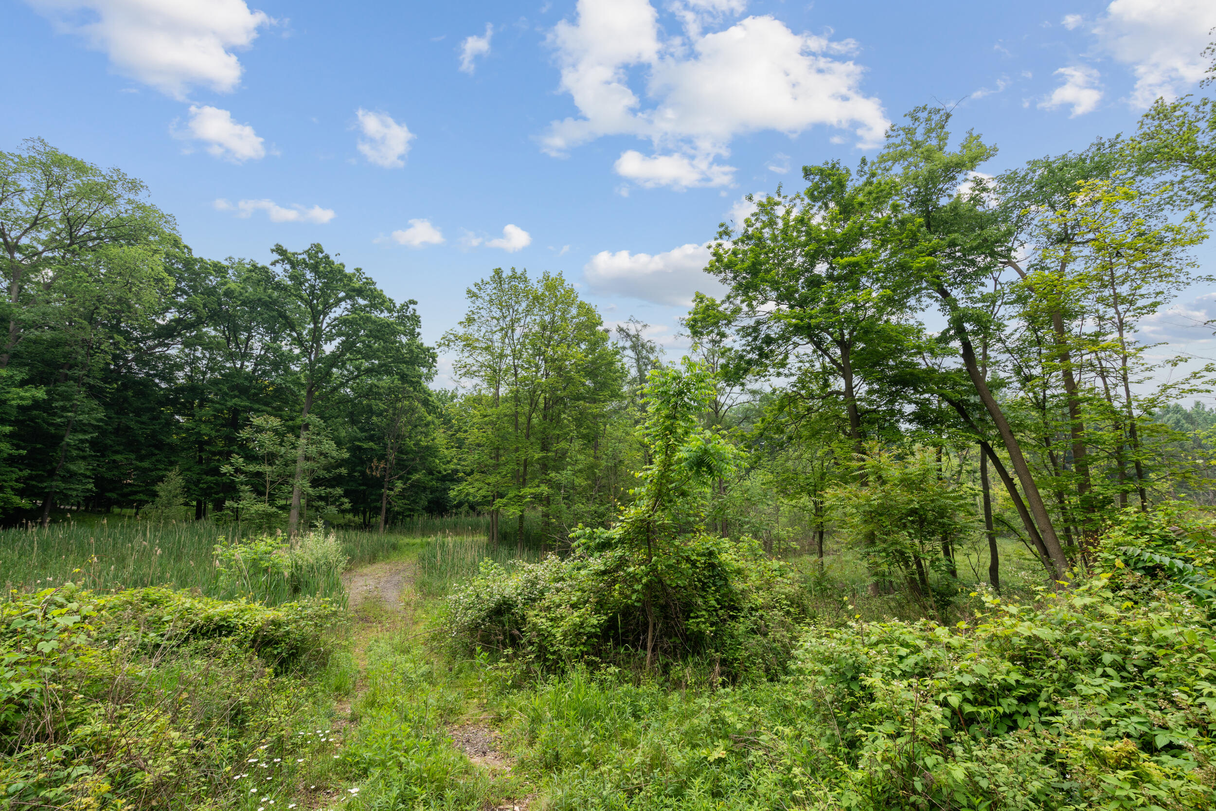 36300 Howard Road Farmington, MI 48331 - Photo 12 of 26 12_36300 howard rd_036