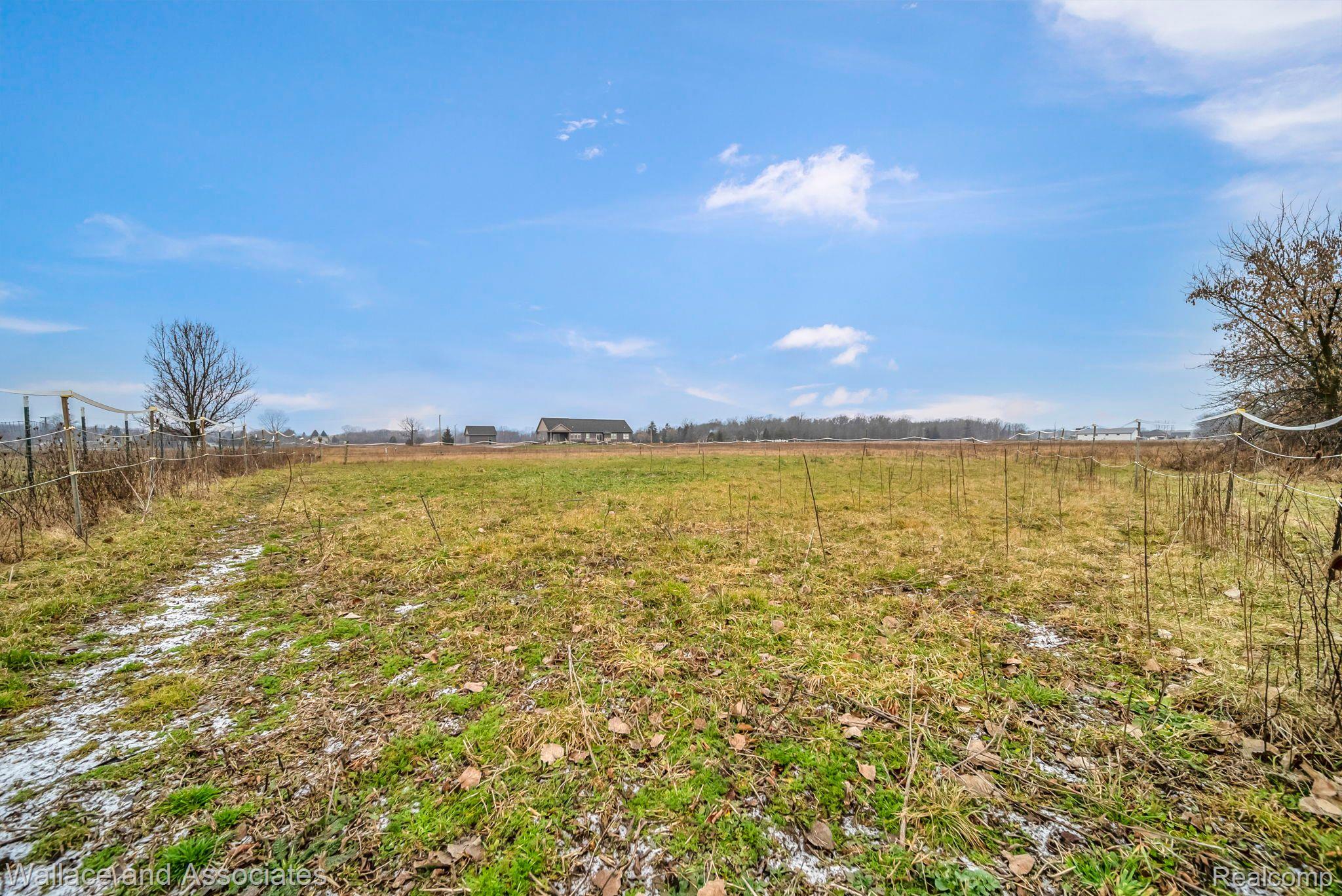 5070 Walker Road North Street, MI 48049 - Photo 67 of 71 Horse