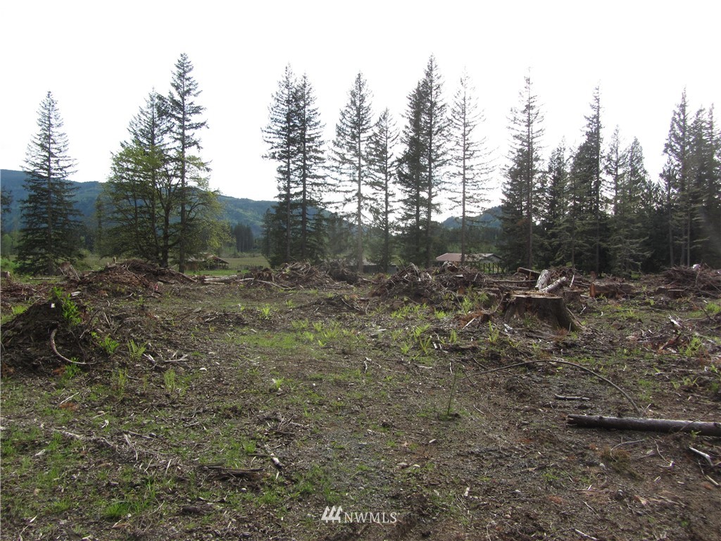 6491 South Pass Road Maple Falls, WA 98266 - Photo 1 of 4 a view of a forest with trees in the background