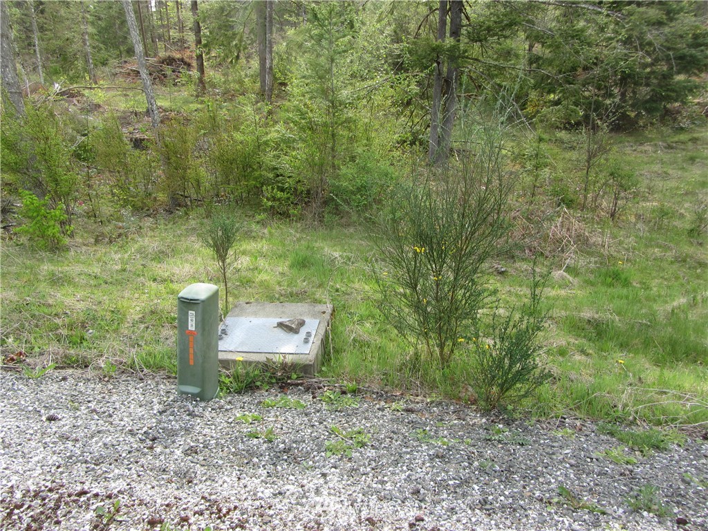6491 South Pass Road Maple Falls, WA 98266 - Photo 3 of 4 a view of a yard