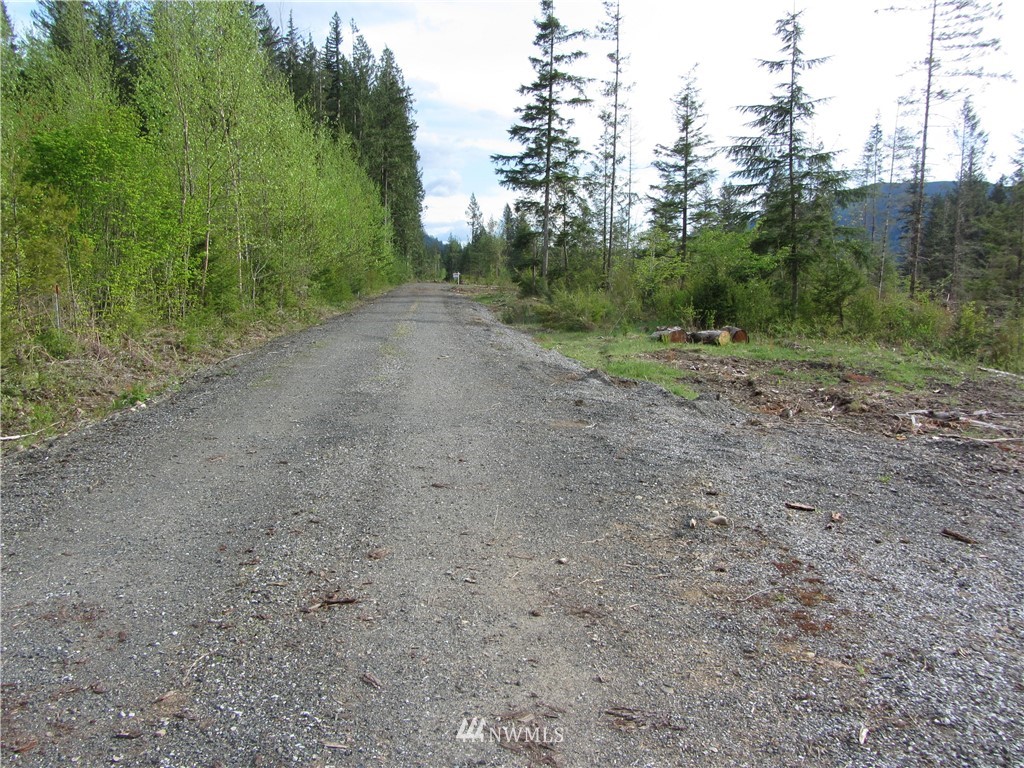 6491 South Pass Road Maple Falls, WA 98266 - Photo 4 of 4 a view of a dirt road with trees in the background