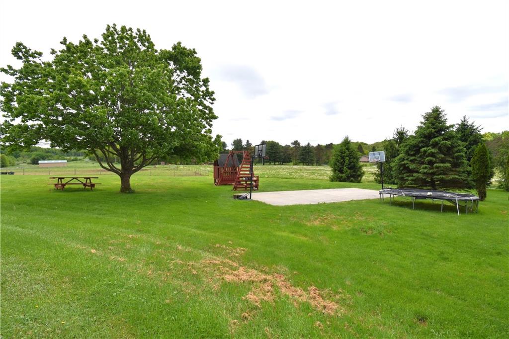 842 Fredonia Road Jackson Center, PA 16133 - Photo 15 of 48 a view of field with grass and trees