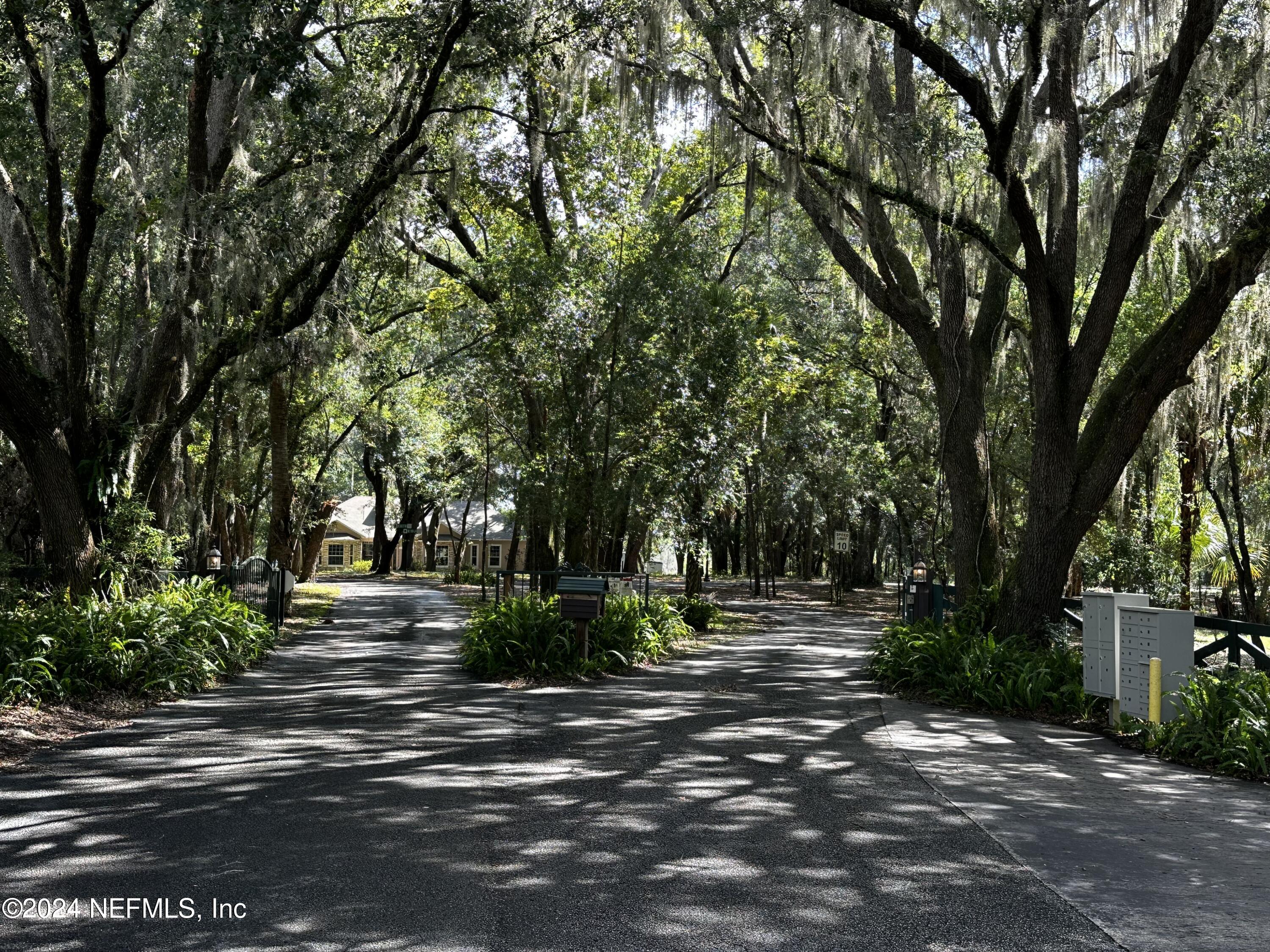 08 Southeast 265th Court Road Umatilla, FL 32784 - Photo 11 of 53 a view of street with trees