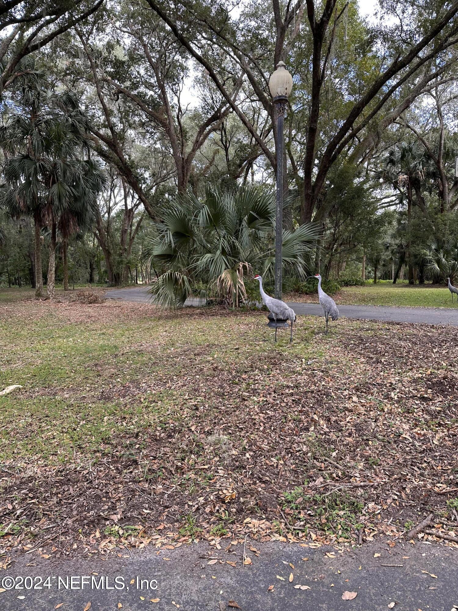 08 Southeast 265th Court Road Umatilla, FL 32784 - Photo 14 of 53 a backyard of a house with a trees