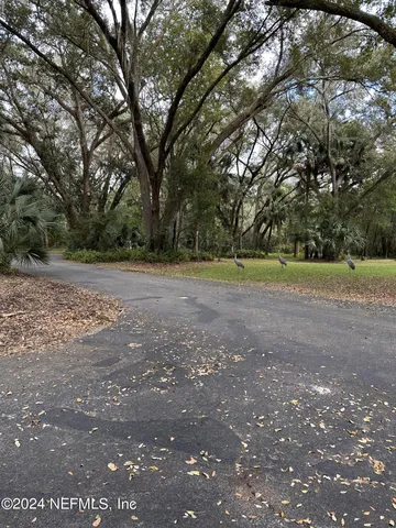 a backyard of a house with a trees