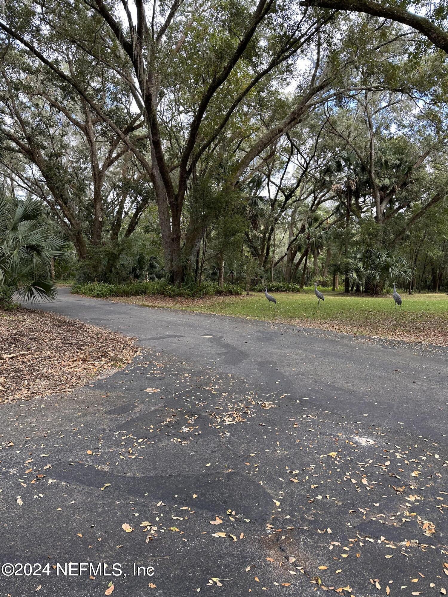08 Southeast 265th Court Road Umatilla, FL 32784 - Photo 15 of 53 a view of a field with trees in the background
