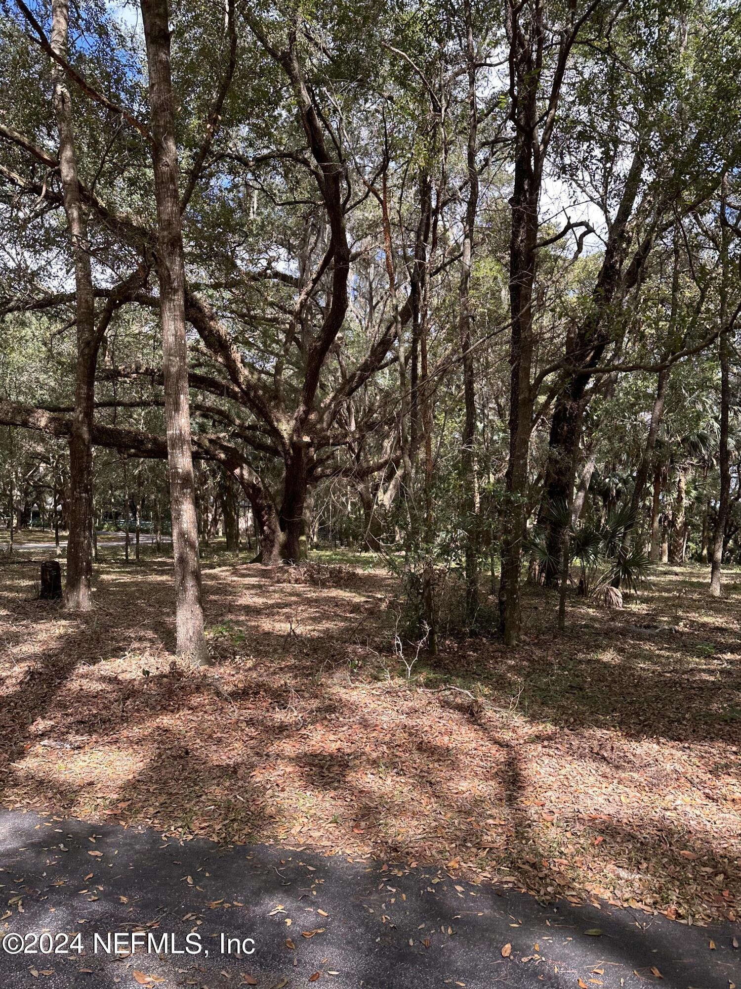 08 Southeast 265th Court Road Umatilla, FL 32784 - Photo 16 of 53 a view of dirt yard with a large tree