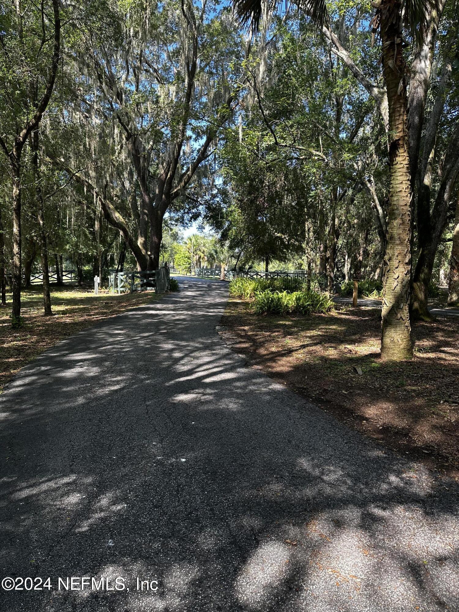 08 Southeast 265th Court Road Umatilla, FL 32784 - Photo 18 of 53 a view of road with trees