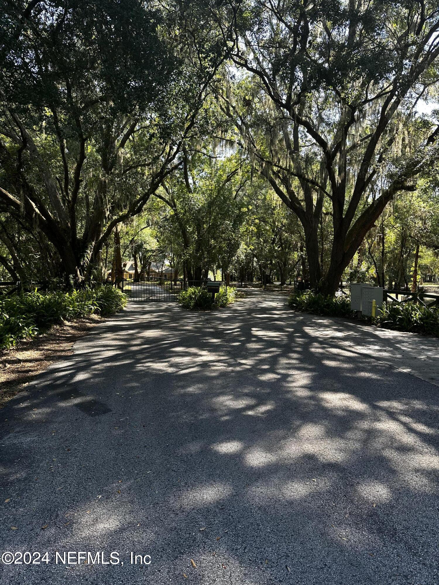 08 Southeast 265th Court Road Umatilla, FL 32784 - Photo 20 of 53 a view of road with trees