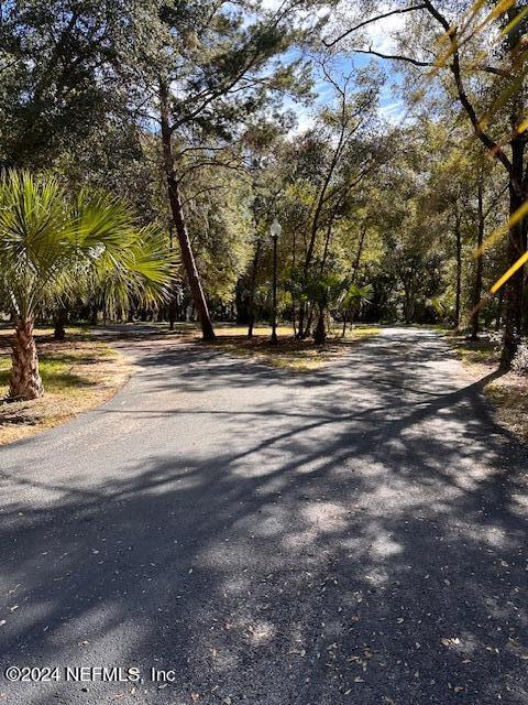 08 Southeast 265th Court Road Umatilla, FL 32784 - Photo 29 of 53 a view of a yard with large trees