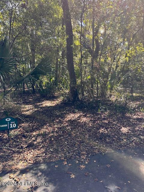08 Southeast 265th Court Road Umatilla, FL 32784 - Photo 36 of 53 a view of a forest with trees