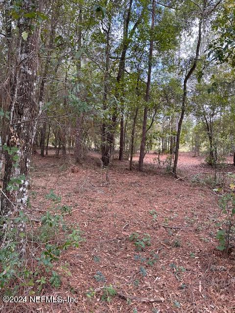 08 Southeast 265th Court Road Umatilla, FL 32784 - Photo 39 of 53 a view of outdoor space with trees