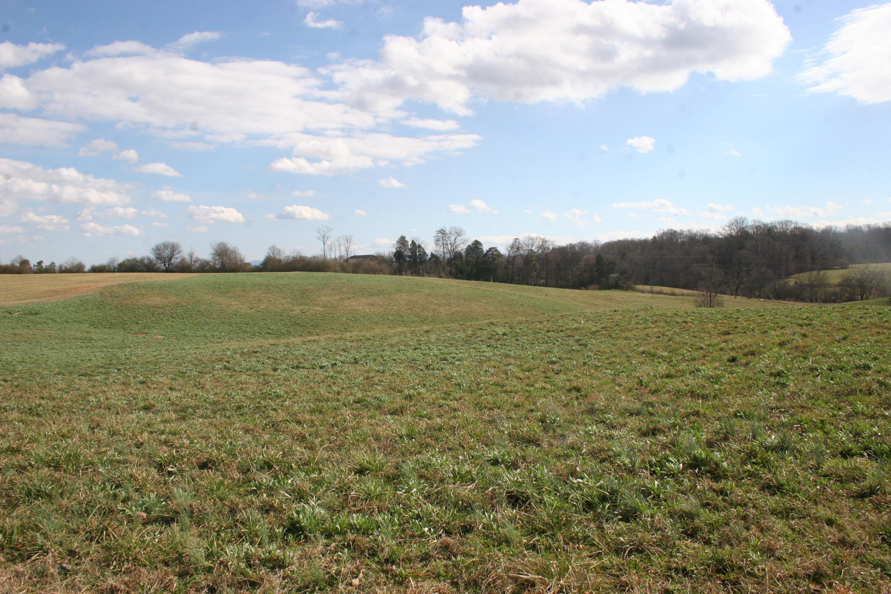 Weaver Road Madisonville, TN 37354 - Photo 1 of 13 Tract 10-Notgrass Farm (1)