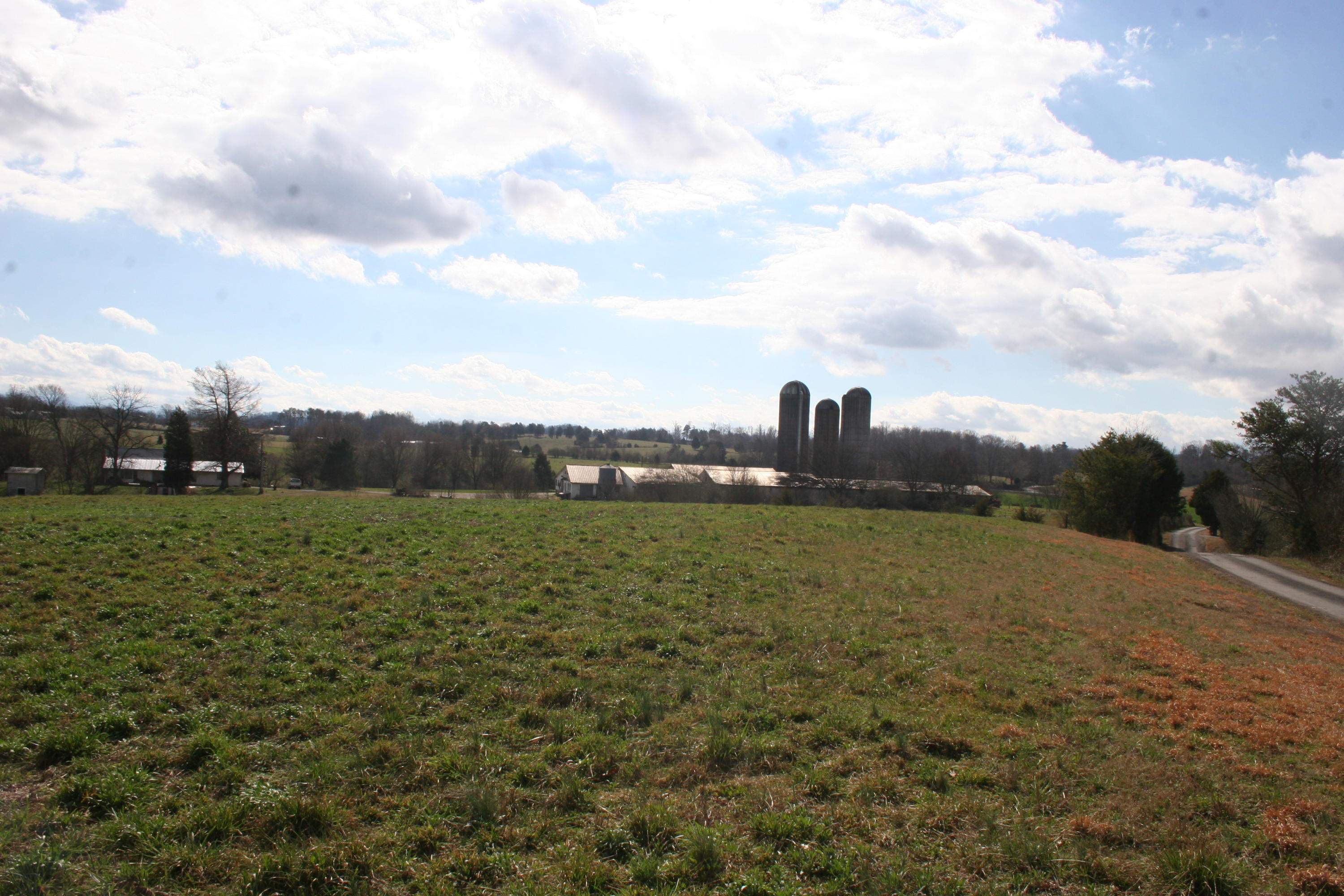 Weaver Road Madisonville, TN 37354 - Photo 2 of 13 Tract 10-Notgrass Farm (2)