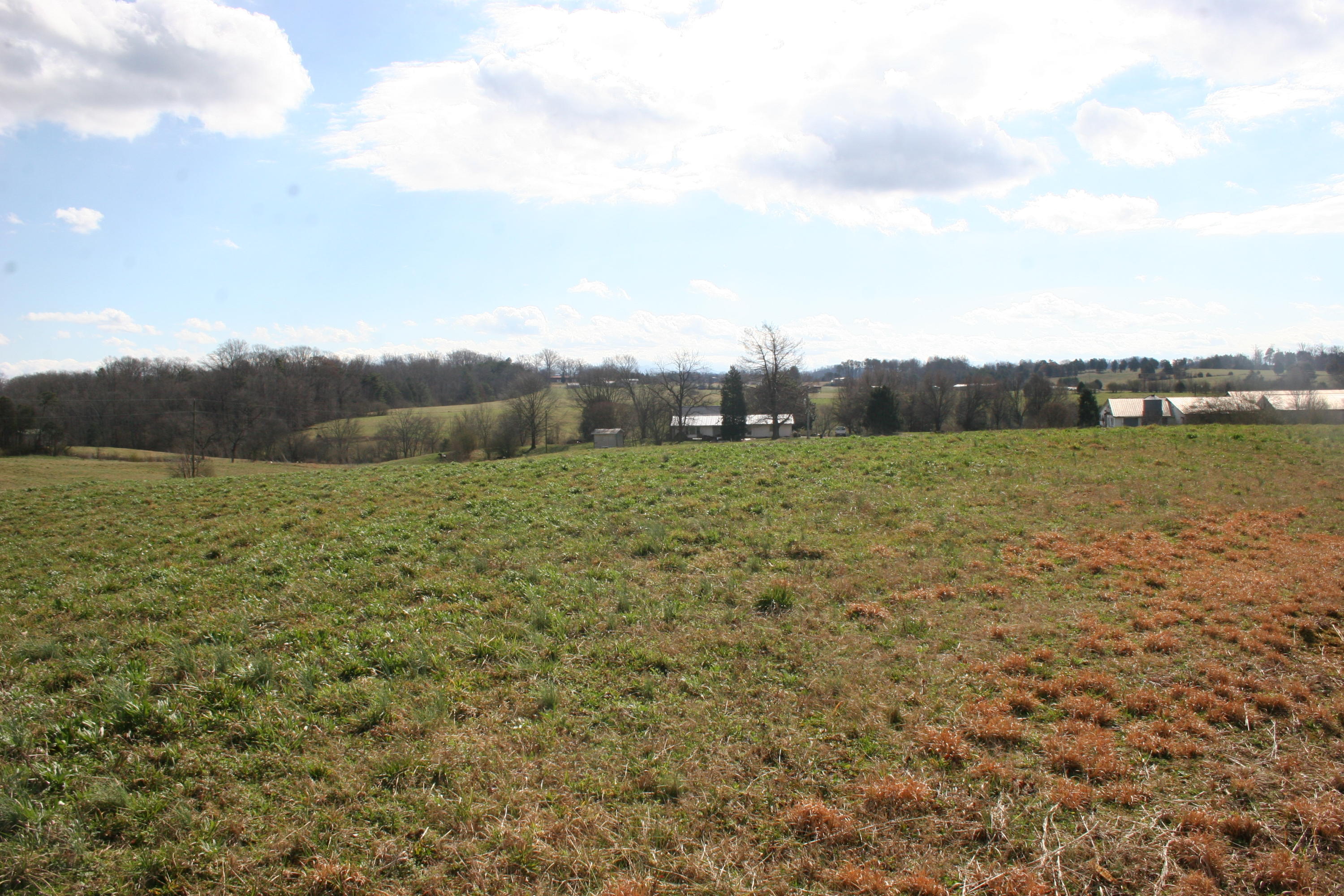 Weaver Road Madisonville, TN 37354 - Photo 3 of 13 Tract 10-Notgrass Farm (3)