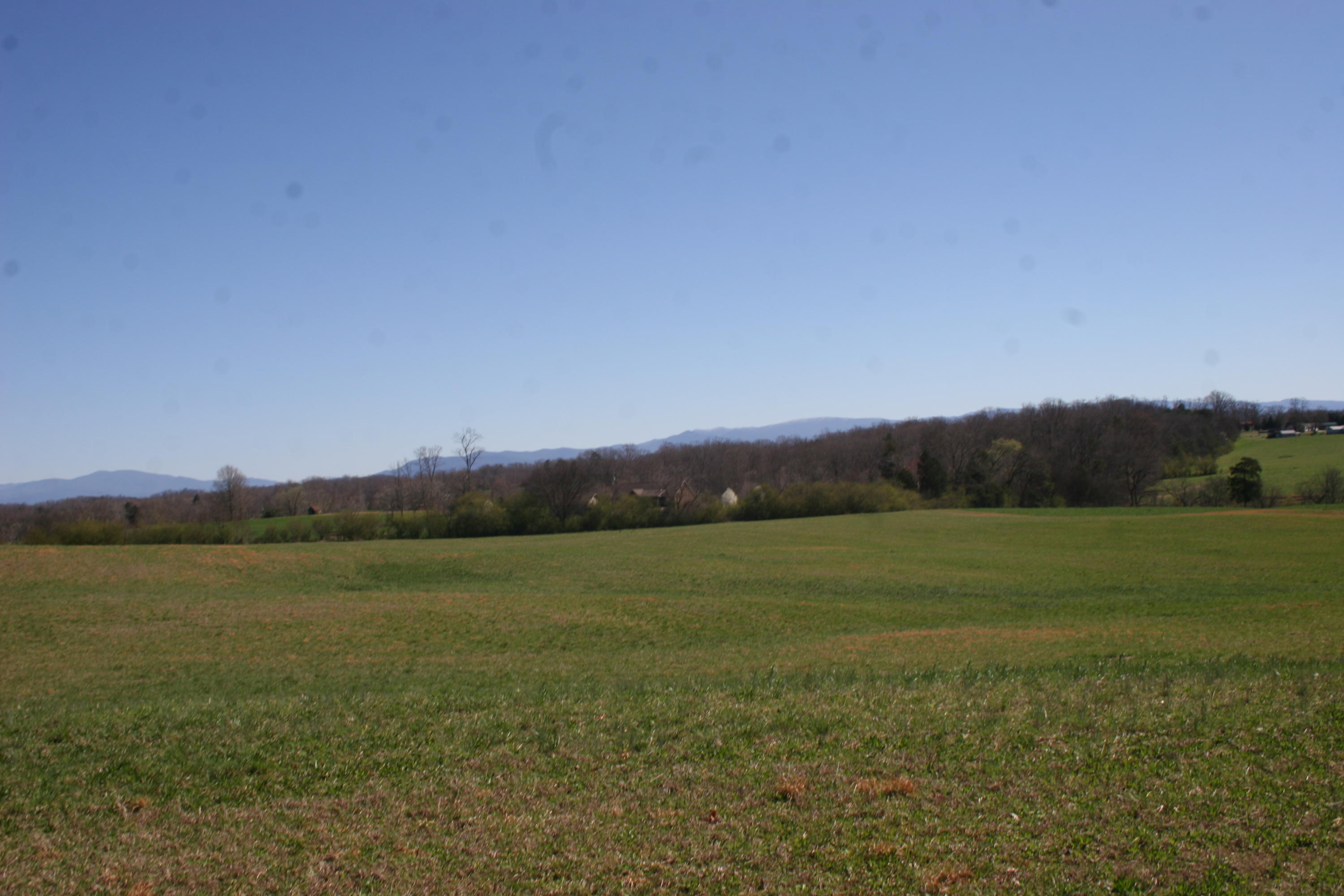 Weaver Road Madisonville, TN 37354 - Photo 5 of 13 IMG_4609