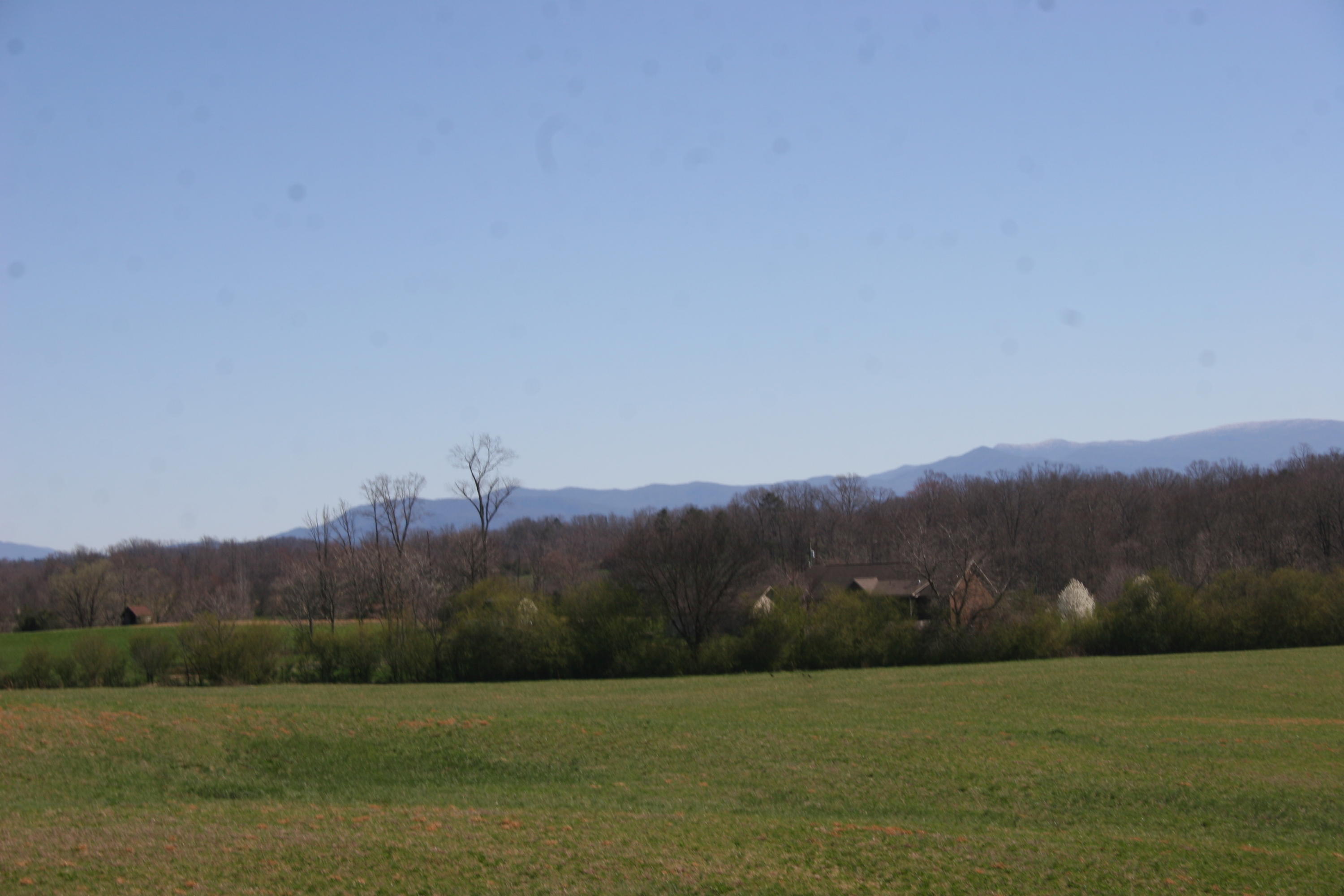 Weaver Road Madisonville, TN 37354 - Photo 10 of 13 IMG_4614