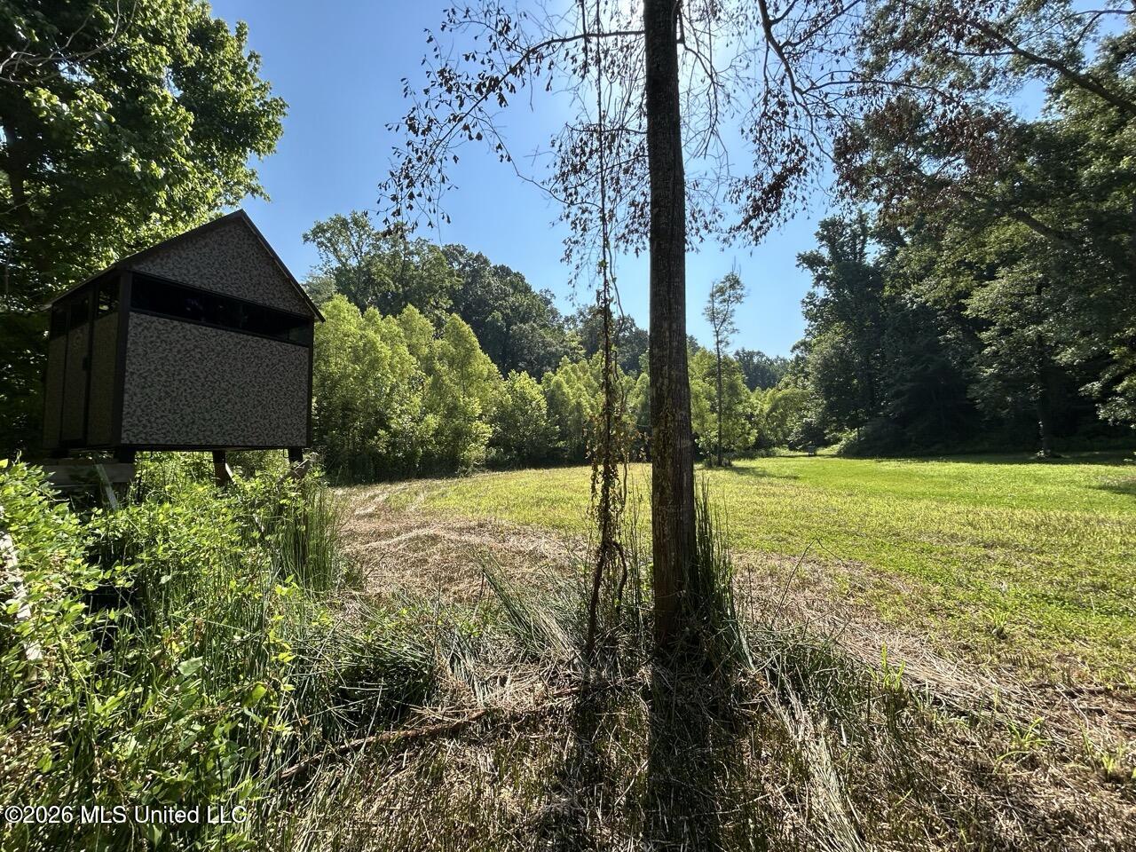 Annas Bottom Road Natchez, MS 39120 - Photo 25 of 48 IMG_4769 Large