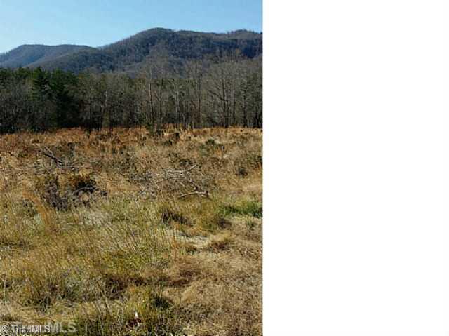 Tbd Carson Creek Road Lowgap, NC 27024 - Photo 2 of 3 Land. Land had been used for boxwoods