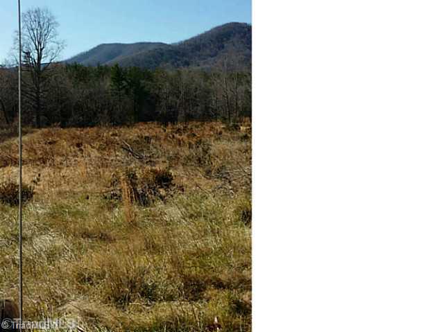 Tbd Carson Creek Road Lowgap, NC 27024 - Photo 3 of 3 Land.