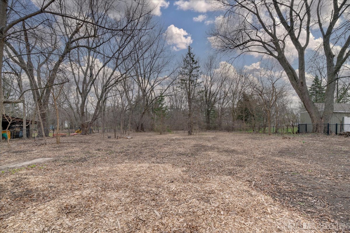 1703 Stoddard Avenue Wheaton, IL 60187 - Photo 8 of 9 a view of a yard with trees
