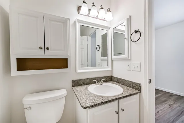 a bathroom with a sink and a toilet