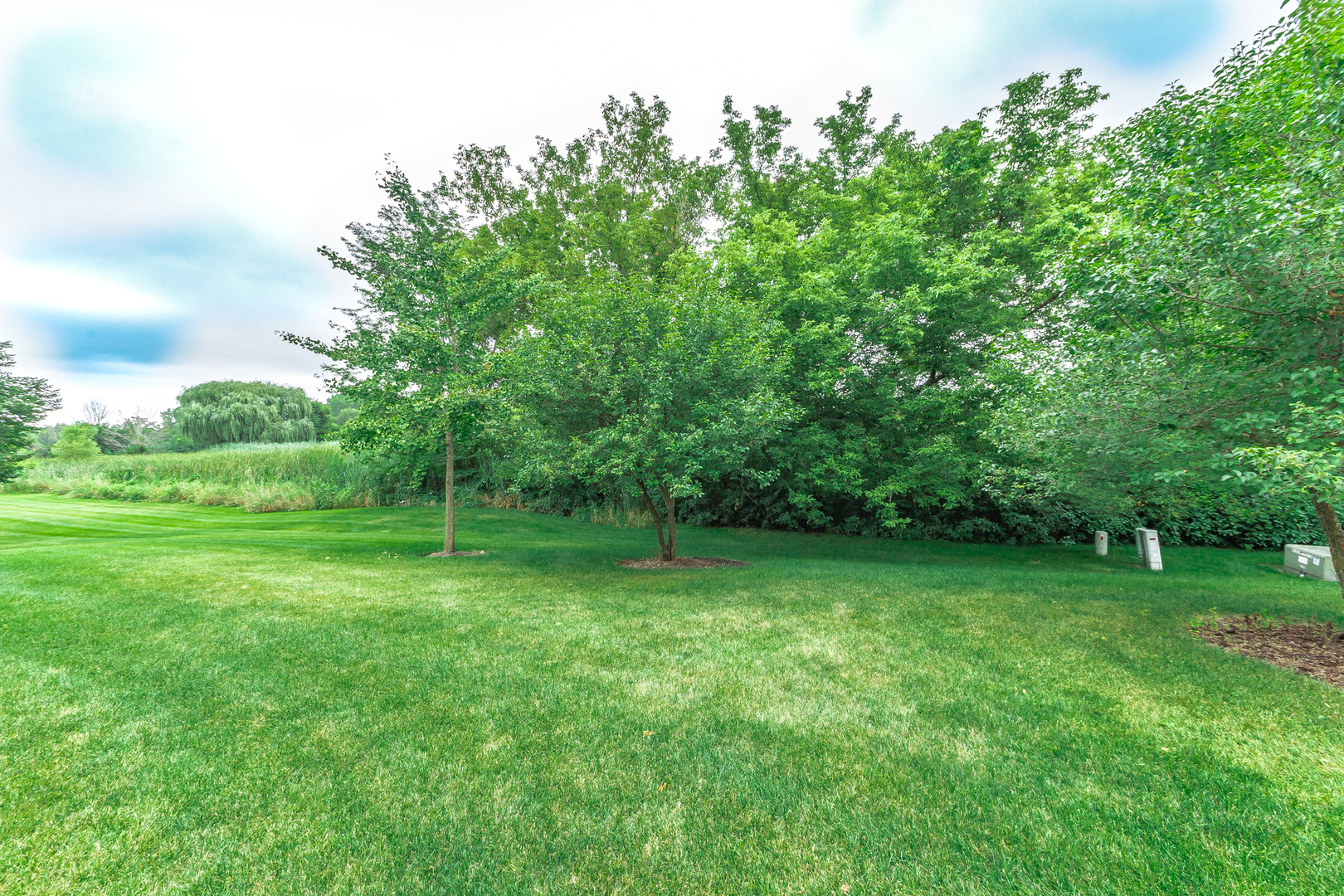 1244 Coldspring Road Elgin, IL 60120 - Photo 5 of 21