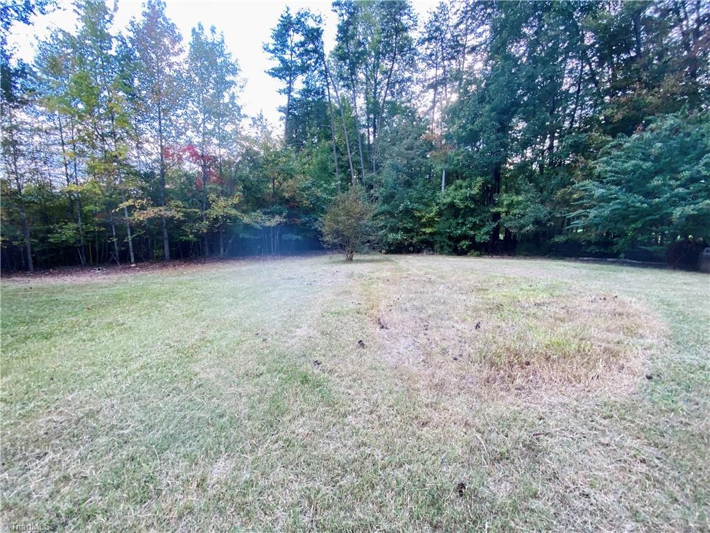 1036 Guerrant Springs Road Ruffin, NC 27326 - Photo 17 of 17