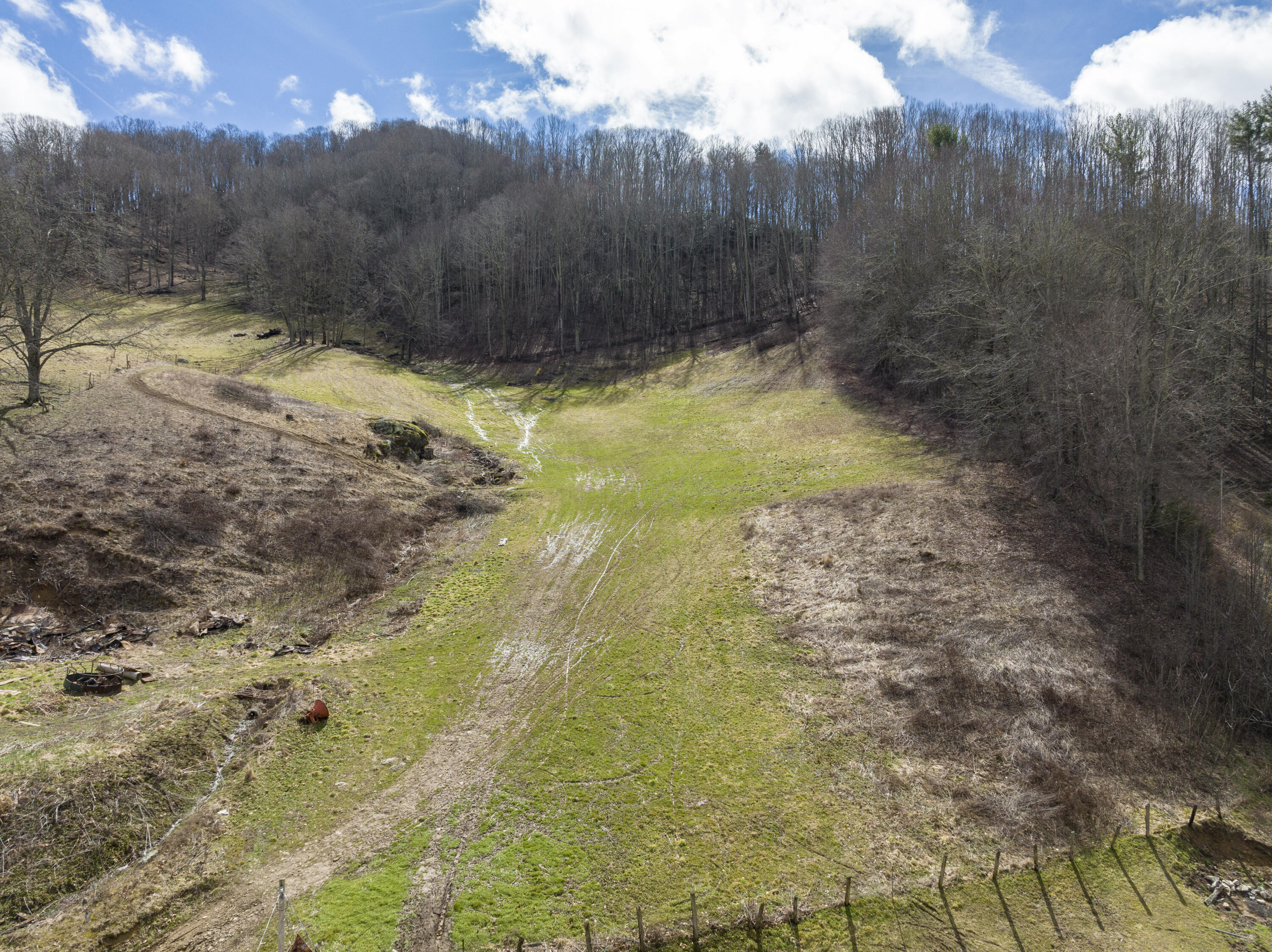 288 Shell Creek Road Roan Mountain, TN 37687 - Photo 28 of 31 Pasture
