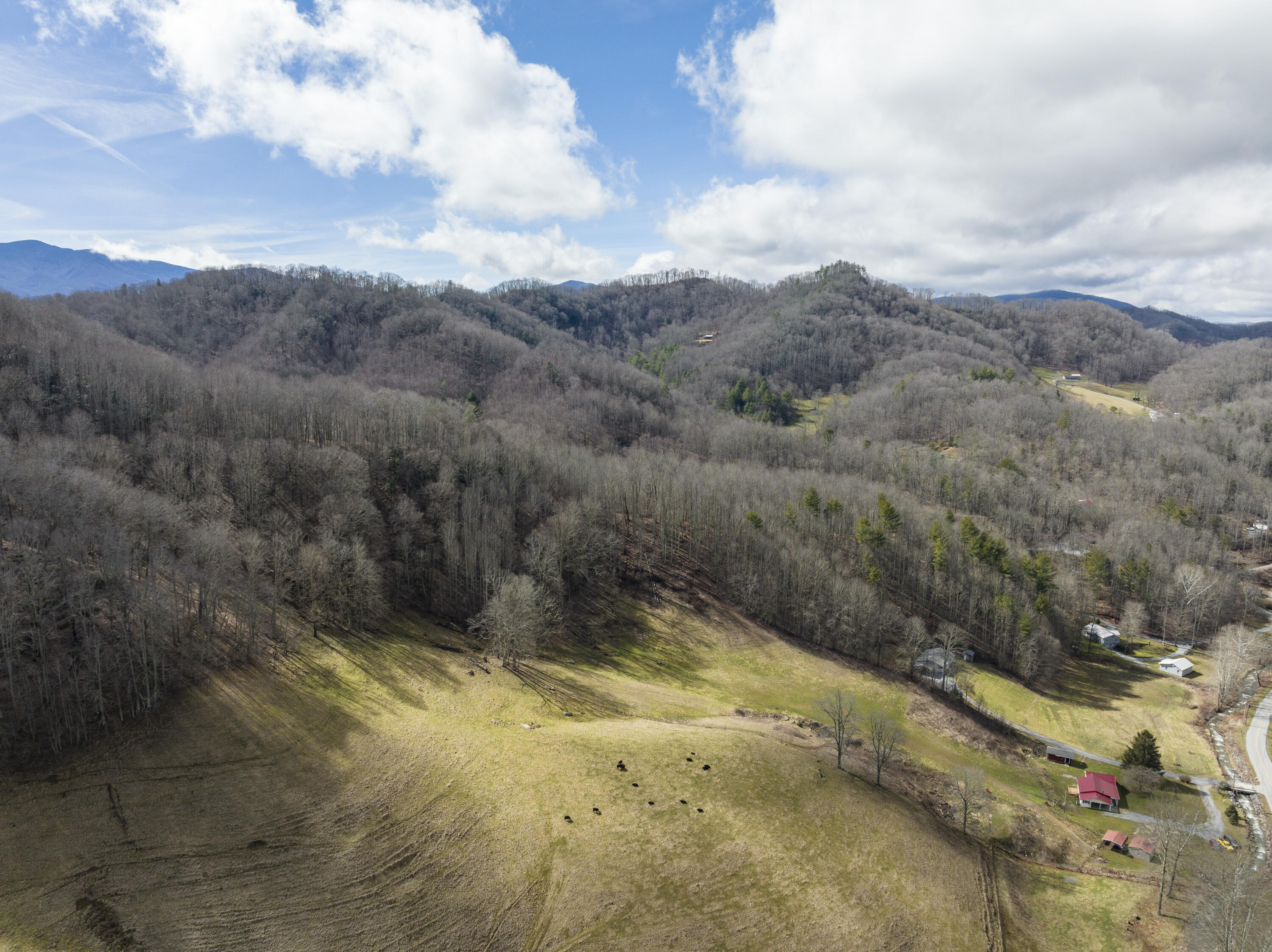 288 Shell Creek Road Roan Mountain, TN 37687 - Photo 31 of 31 Aerial