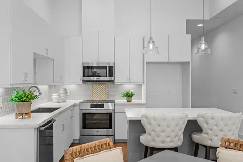 a kitchen with stainless steel appliances a white cabinets stove and a potted plant