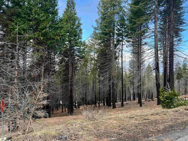 a view of outdoor space with trees