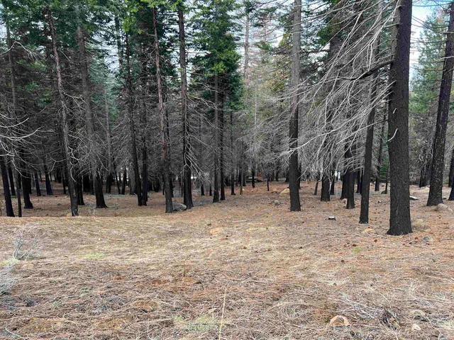 a view of road with trees