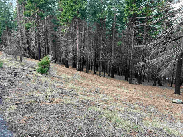 a view of a backyard of the house