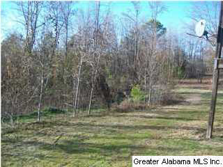 11511 Highway 159 Kennedy, AL 35574 - Photo 5 of 32