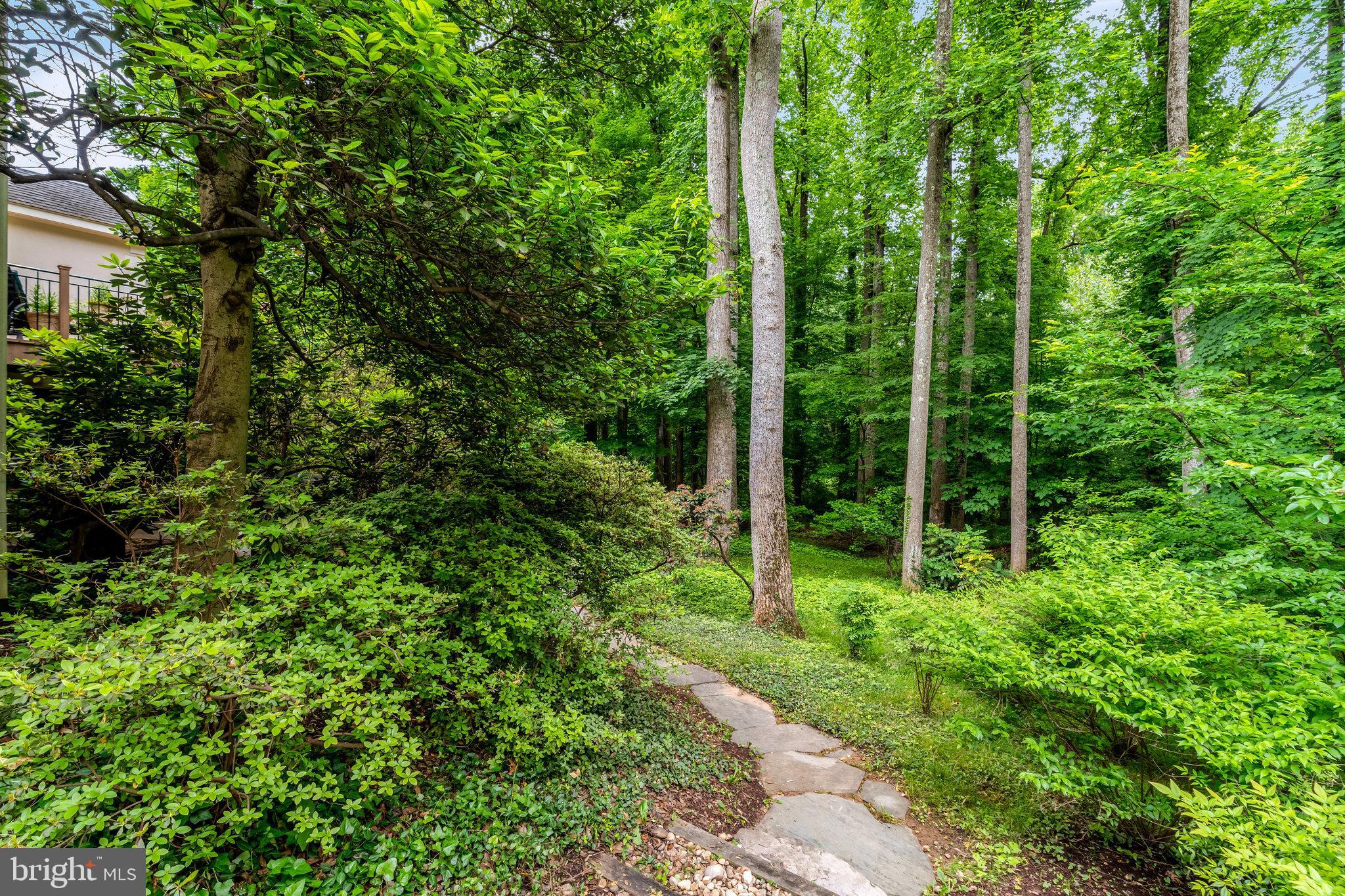 7719 Crossover Drive McLean, VA 22102 - Photo 97 of 99