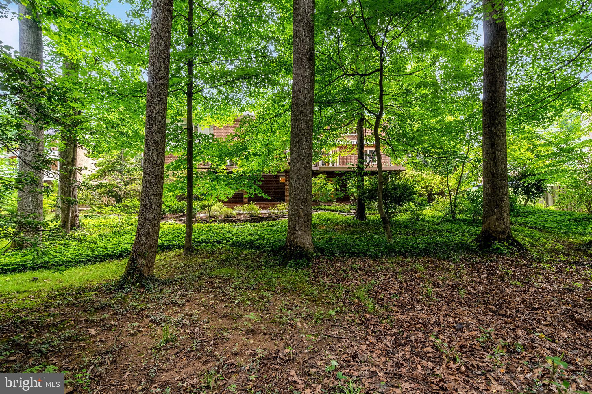 7719 Crossover Drive McLean, VA 22102 - Photo 98 of 99