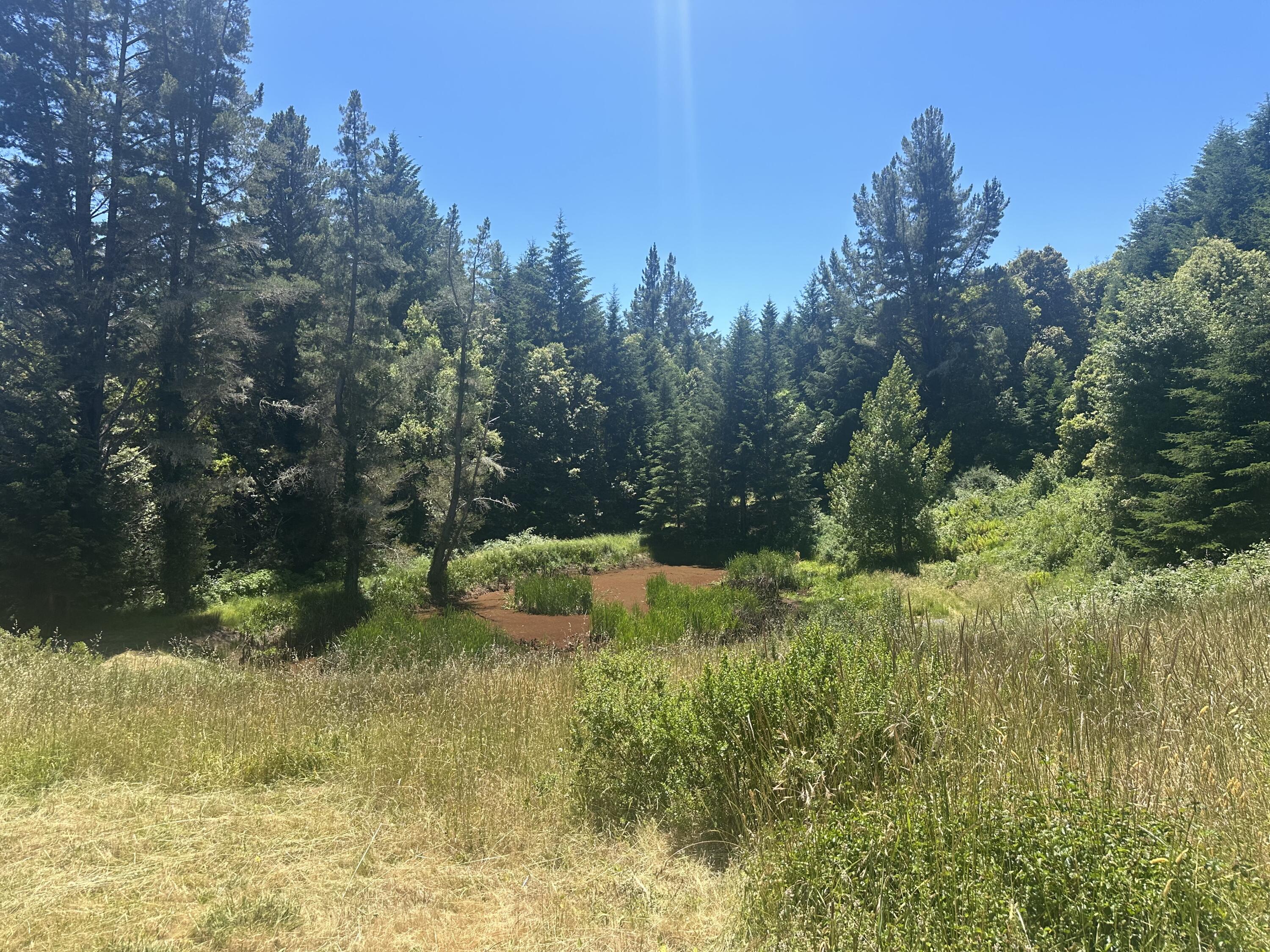 2320 Road B Road Miranda, CA 95553 - Photo 14 of 18 pond 1