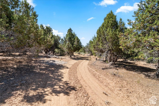 Undisclosed Address Spring City, UT 84662 - Photo 6 of 32
