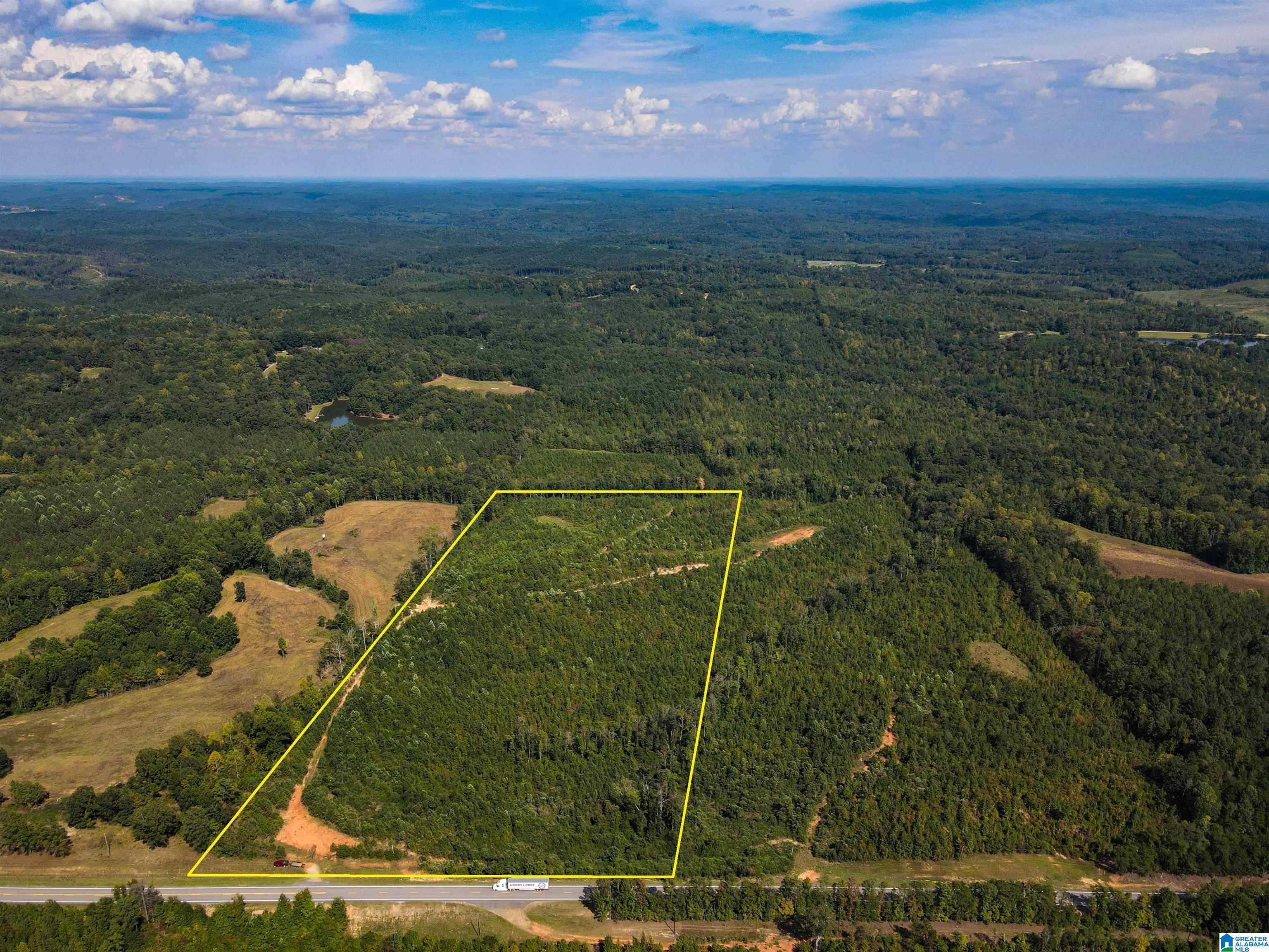 1 Highway 13, Unit 1 Berry, AL 35546 - Photo 47 of 52