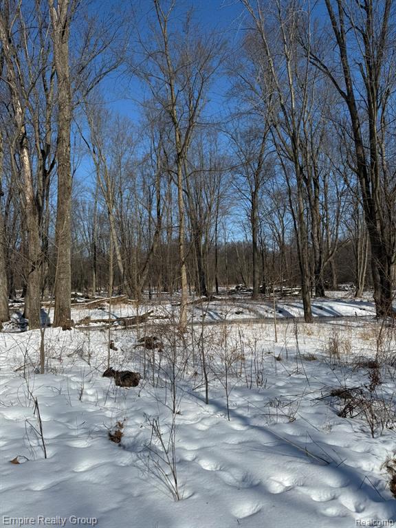 660 East Fitchburg Road Stockbridge, MI 49285 - Photo 10 of 57
