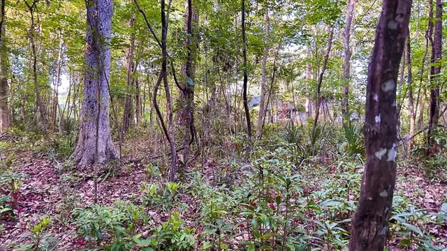 $575,000 | 1326 Northwest 57th Street, Gainesville, FL 32605