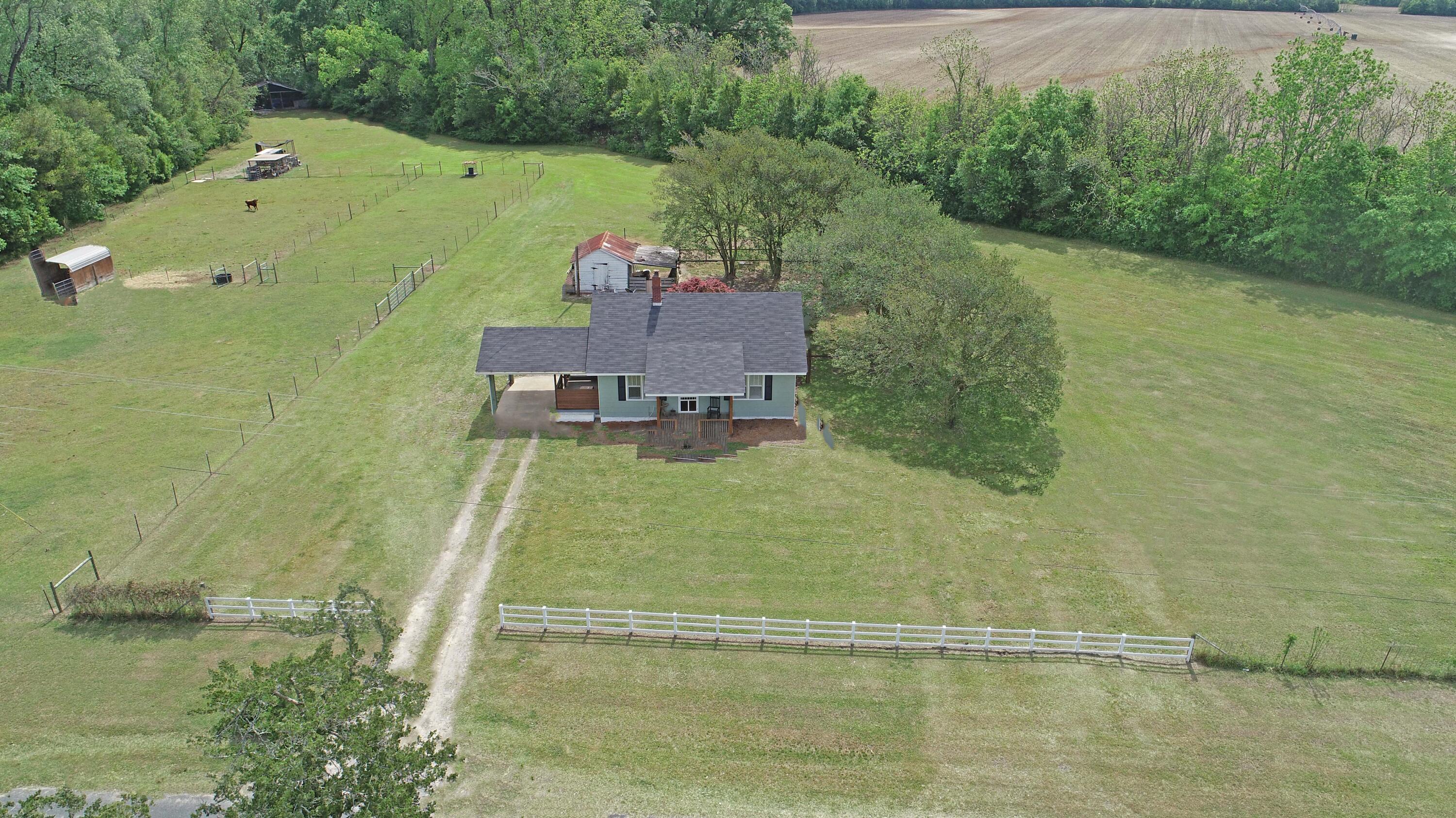 1315 State Rd S-38-81 Elloree, SC 29047 - Photo 4 of 38 5
