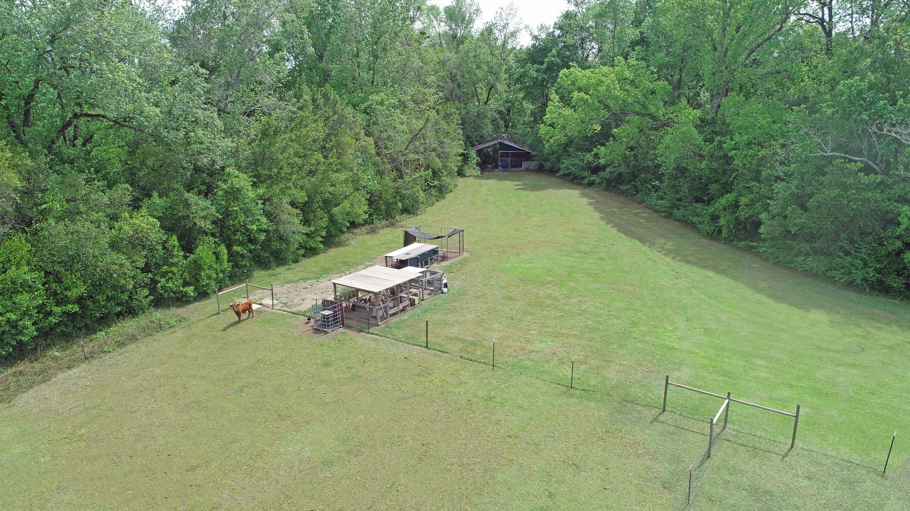 1315 State Rd S-38-81 Elloree, SC 29047 - Photo 7 of 38 8