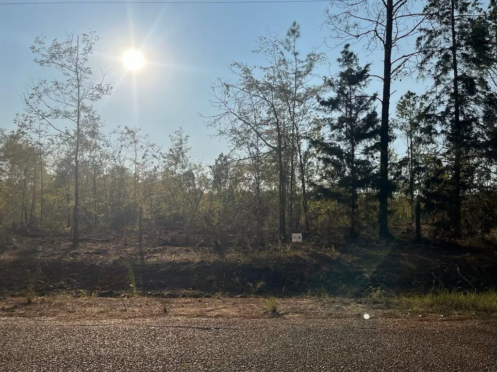 2 Lake Road Plain Dealing, LA 71064 - Photo 1 of 1 View of yard