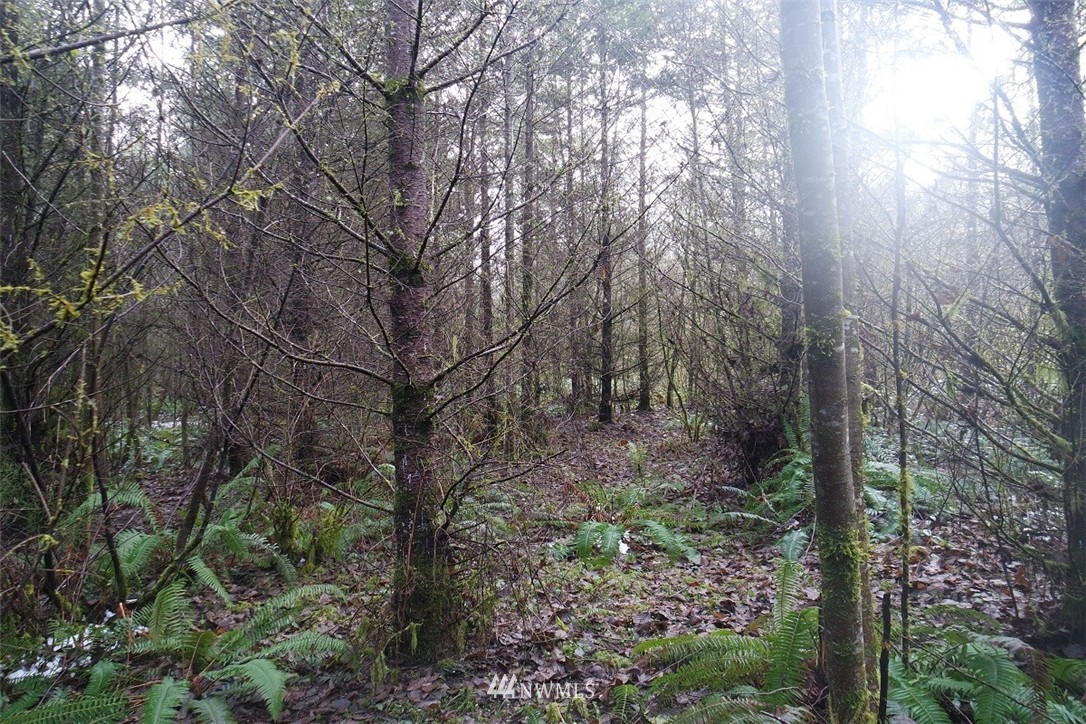 150 Steveson Road Chehalis, WA 98532 - Photo 14 of 25
