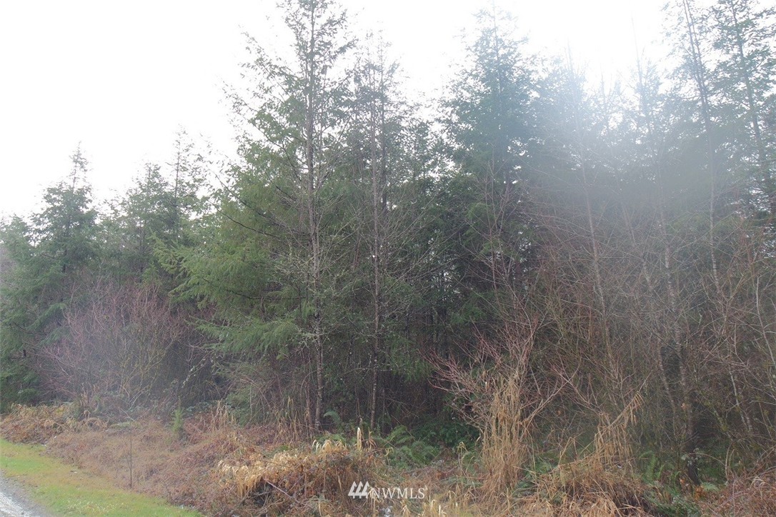 150 Steveson Road Chehalis, WA 98532 - Photo 25 of 25