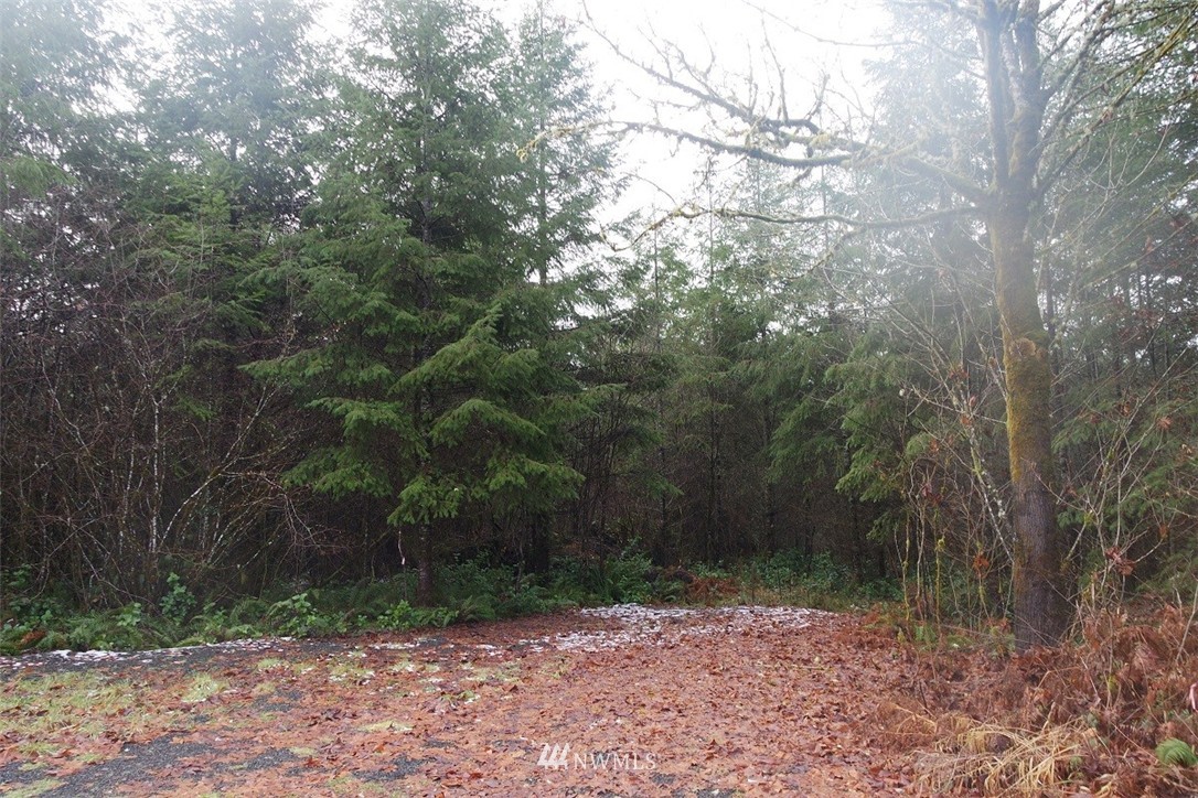 150 Steveson Road Chehalis, WA 98532 - Photo 7 of 25