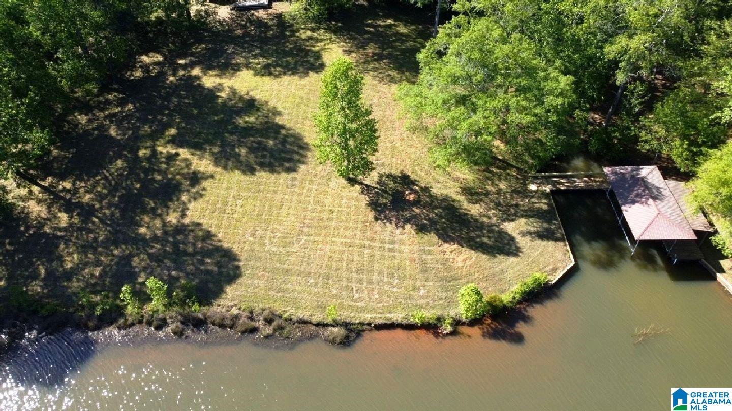 244 County Road 2011 Delta, AL 36258 - Photo 5 of 29